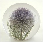 Globe Thistle Large